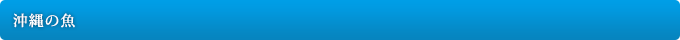 沖縄の魚
